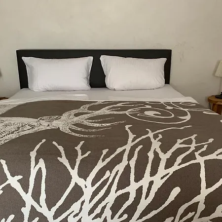 Augusta Trarbach Hotel Traben-Trarbach